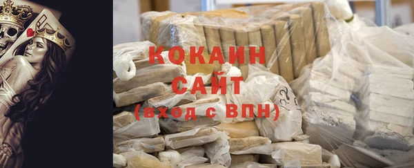 крисы Бородино