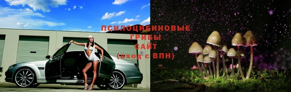 соль ск Сосновый Бор