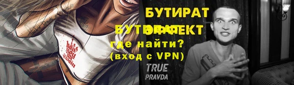 крисы Бородино