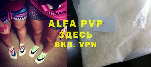 крисы Бородино