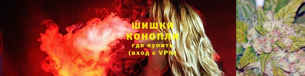 соль ск Сосновый Бор