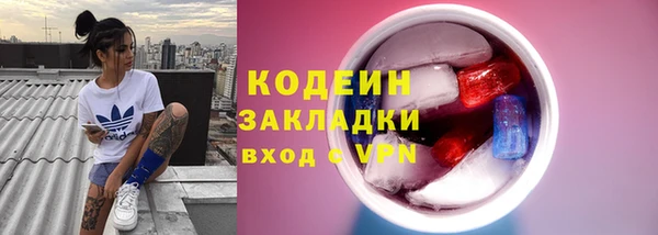 крисы Бородино