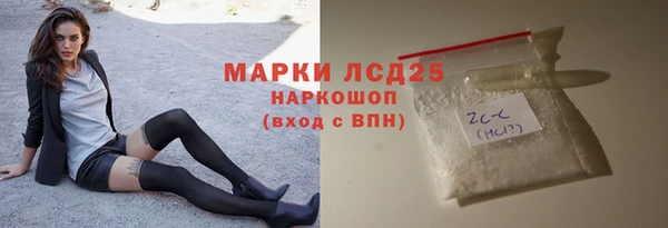 крисы Бородино