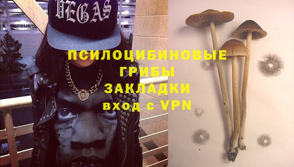 прущие грибы Сосновоборск
