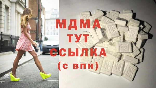 крисы Бородино